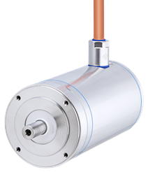 Blank motor IP69