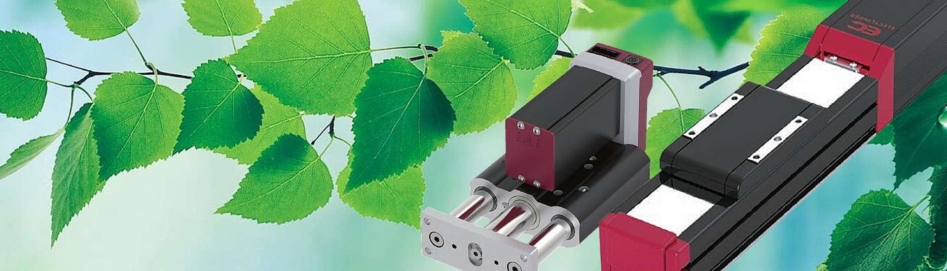 Topbillede med grønne blade og EC-cylindre