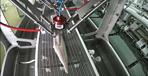Foto af delta-robotter i en fødevare produktions maskine.