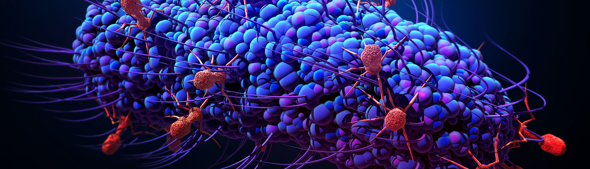 Topbillede med grafisk fremstilling af bakterie kultur